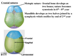 Frontal Suture Closure